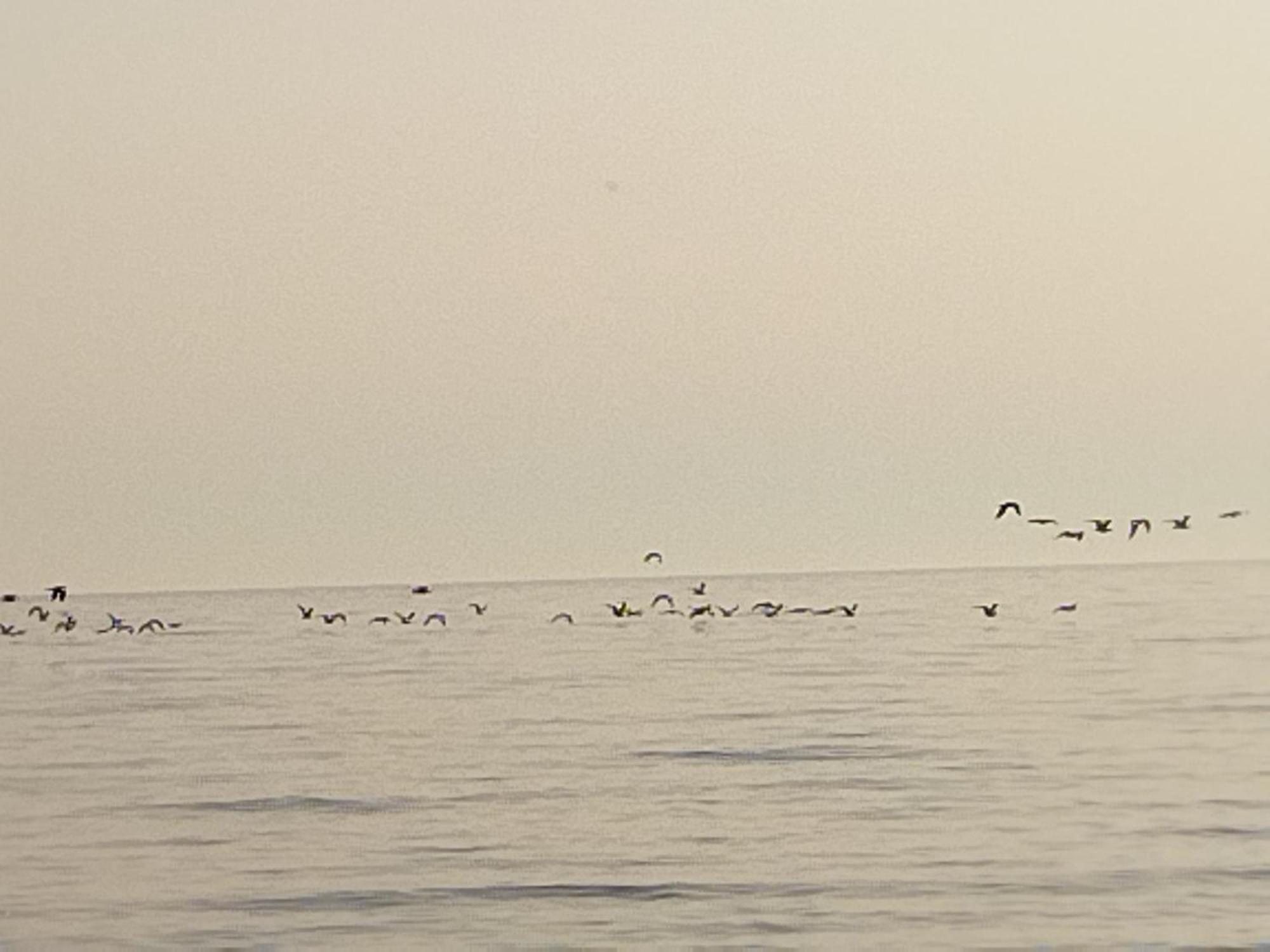 La Casuzza del Centro Sciacca Quarto foto